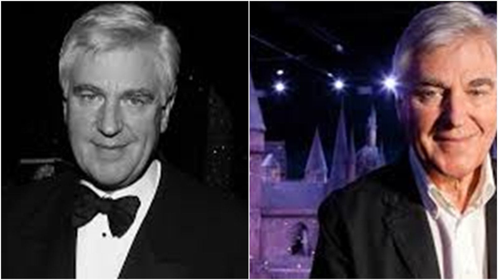 Morre Stuart Craig, responsável pelo design visual de ‘Harry Potter ...